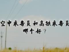 空中乘務(wù)員和高鐵乘務(wù)員哪個(gè)好？