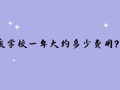 讀空乘學校一年大約多少費用？