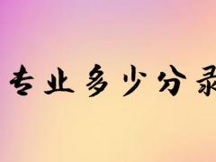 空乘專業(yè)多少分錄取？