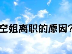 空姐離職的原因？